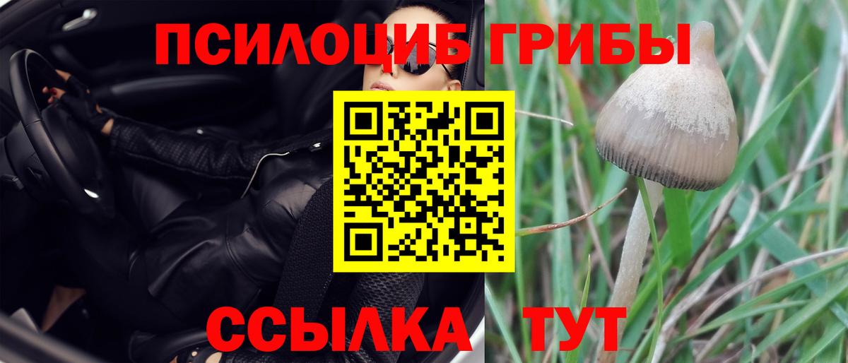 Галлюциногенные грибы ЛСД  Вход с VPN  Димитровград 