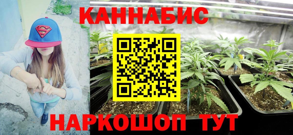 Конопля AK-47 Димитровград